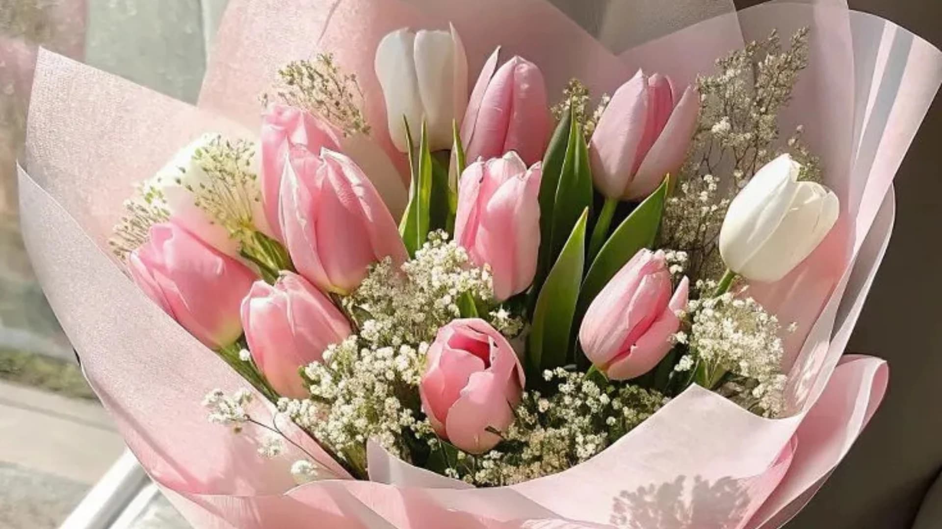 Tulipas Rosas Harrison Flores